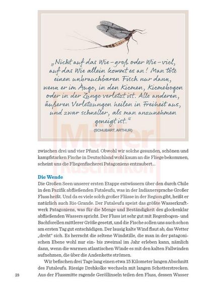 Produktbild: Melodien der Str&ouml;mung