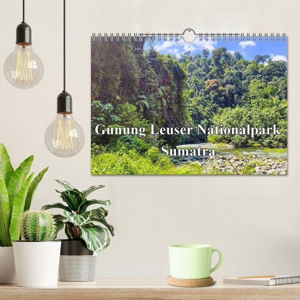 Produktbild: Gunung Leuser Nationalpark Sumatra (Wandkalender 2026 DIN A4 quer), CALVENDO Monatskalender
