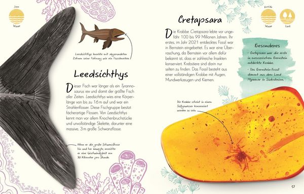 Produktbild: Wundervolle Welt - Kleine Sch&auml;tze. Fossilien