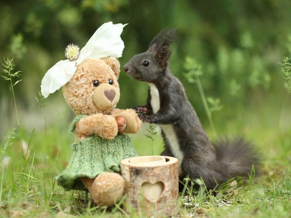 Produktbild: CALVENDO Puzzle Eichh&ouml;rnchen mit Freund Teddy 1000 Teile Lege-Gr&ouml;&szlig;e 64 x 48 cm Foto-Puzzle Bild von Birgit Cerny