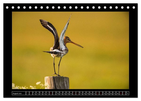 Produktbild: Niederrheinische Vogelwelt (Tischkalender 2026 DIN A5 quer), CALVENDO Monatskalender
