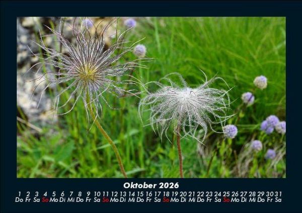 Produktbild: Bilder der Natur 2026 Fotokalender DIN A5