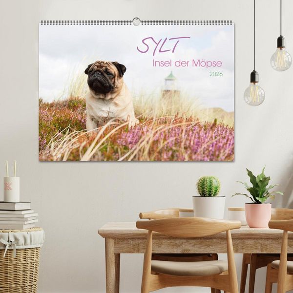 Produktbild: Sylt - Insel der M&ouml;pse (Wandkalender 2026 DIN A2 quer), CALVENDO Monatskalender