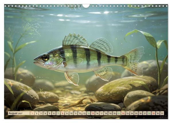 Produktbild: Barsche im See (Wandkalender 2027 DIN A3 quer), CALVENDO Monatskalender