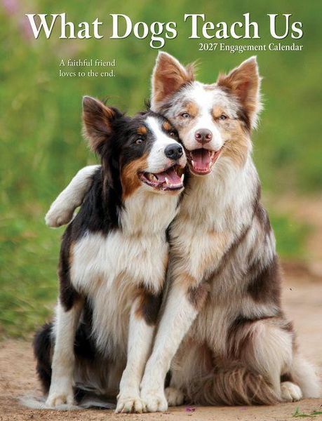 Produktbild: What Dogs Teach Us 2027 6.5 X 8.5 Engagement Calendar