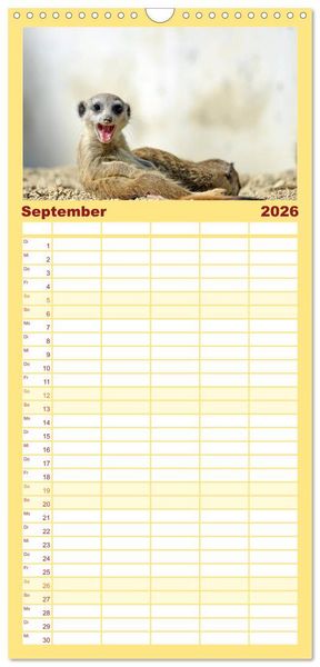 Produktbild: Familienplaner 2026 - Lustige Erdm&auml;nnchen mit 5 Spalten (Wandkalender, 21 x 45 cm) CALVENDO