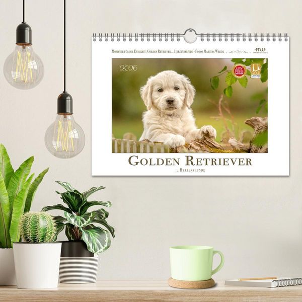 Produktbild: Golden Retriever... Herzenshunde (Wandkalender 2026 DIN A4 quer), CALVENDO Monatskalender