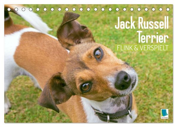 Produktbild: Jack Russell Terrier: flink und verspielt (Tischkalender 2026 DIN A5 quer), CALVENDO Monatskalender