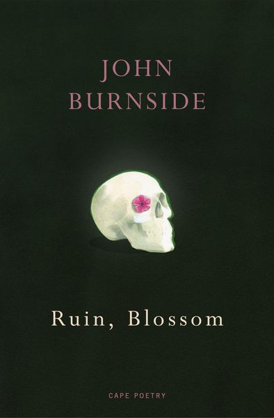 Produktbild: Ruin, Blossom