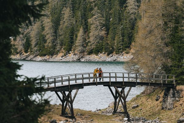 Produktbild: 100 x Tirol
