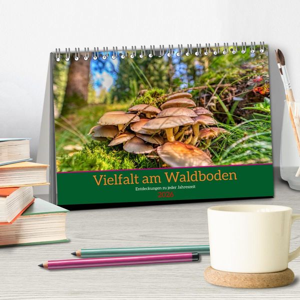Produktbild: Vielfalt am Waldboden (Tischkalender 2026 DIN A5 quer), CALVENDO Monatskalender