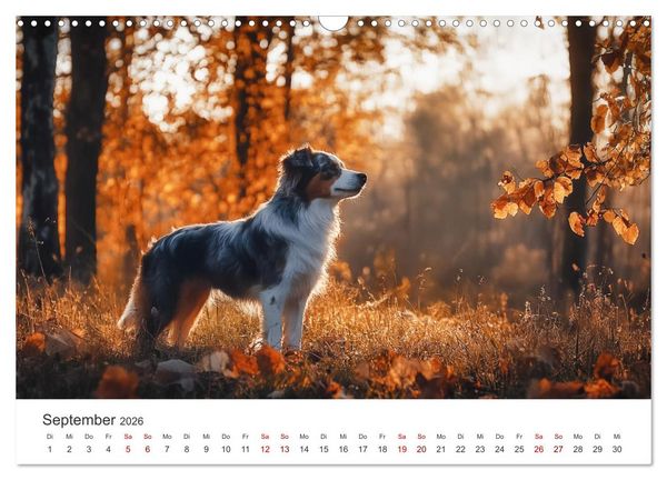 Produktbild: Wundert&uuml;te auf vier Pfoten - Mischlingshunde mit Charme (Wandkalender 2026 DIN A3 quer), CALVENDO Monatskalender