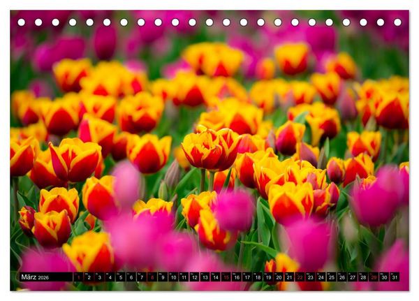 Produktbild: Kleine Blumen ganz gro&szlig; (Tischkalender 2026 DIN A5 quer), CALVENDO Monatskalender