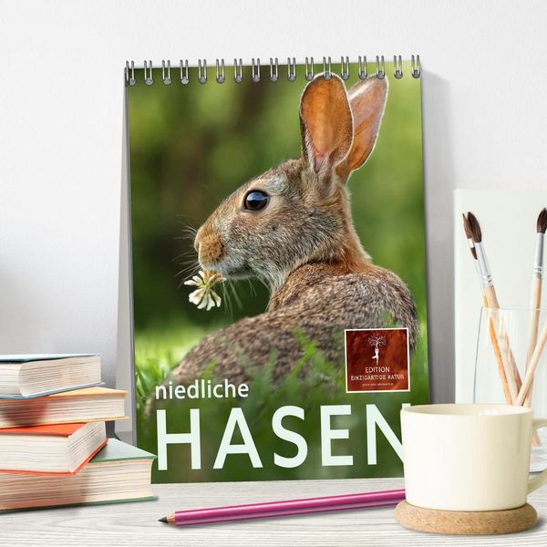 Produktbild: Niedliche Hasen (Tischkalender 2026 DIN A5 hoch), CALVENDO Monatskalender