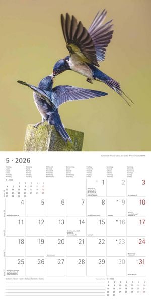 Produktbild: Einheimische Vögel 2026 - Broschürenkalender 30x30 cm (30x60 geöffnet) - Kalender mit Platz für Notizen - Birds - Bildkalender - Wandkalender - Vogelk