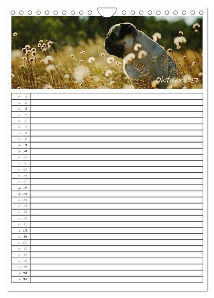 Produktbild: Der mopsige Familienplaner (Wandkalender 2027 DIN A4 hoch), CALVENDO Monatskalender