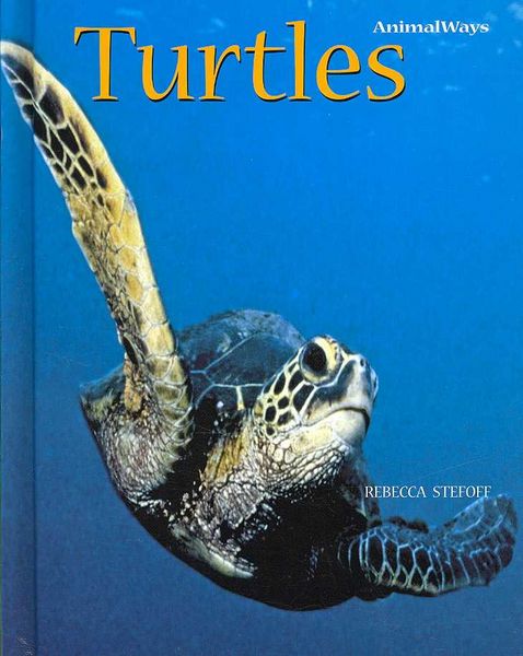 Produktbild: Turtles