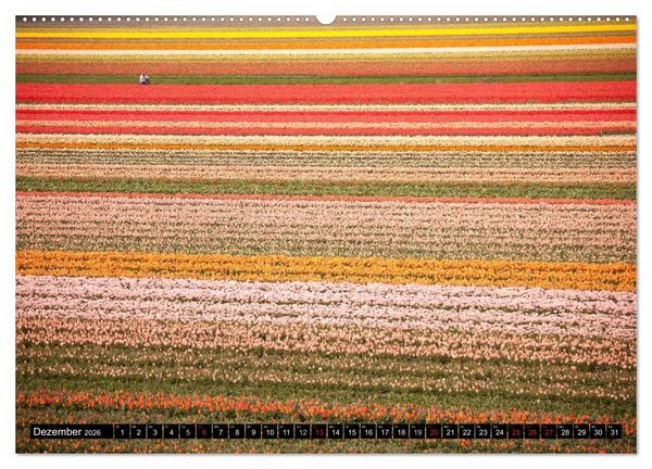 Produktbild: Tulpen (Wandkalender 2026 DIN A2 quer), CALVENDO Monatskalender