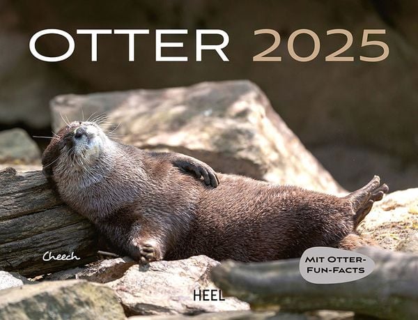 'Otter Kalender 2025 Wandkalender' - 'Wandkalender'