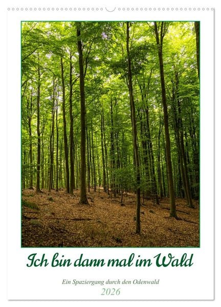 Ich bin dann mal im Wald (Wandkalender 2026 DIN A2 hoch), CALVENDO Monatskalender