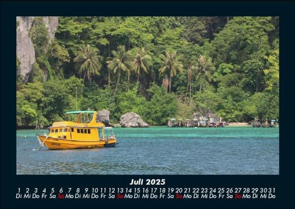 Produktbild: Palmen 2025 Fotokalender DIN A5