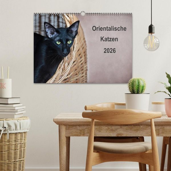 Produktbild: Orientalische Katzen (Wandkalender 2026 DIN A3 quer), CALVENDO Monatskalender