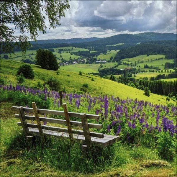 Produktbild: Schwarzwald 2027