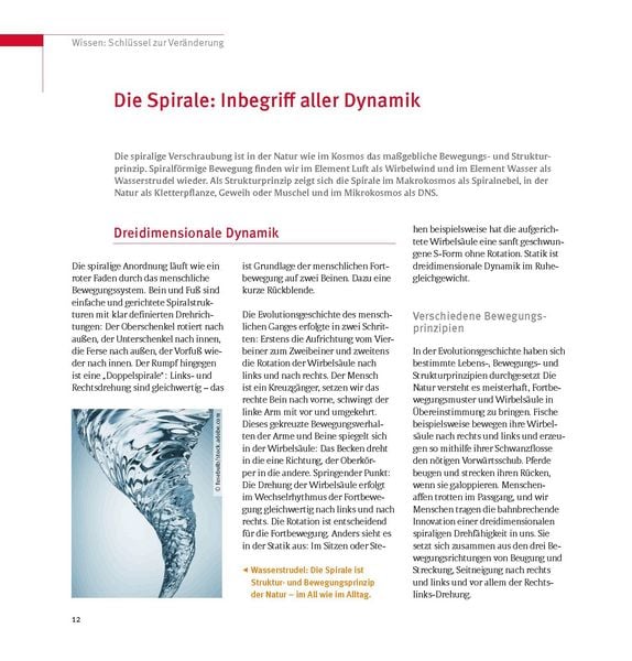 Produktbild: Skoliose - Aufrecht durch Bewegung