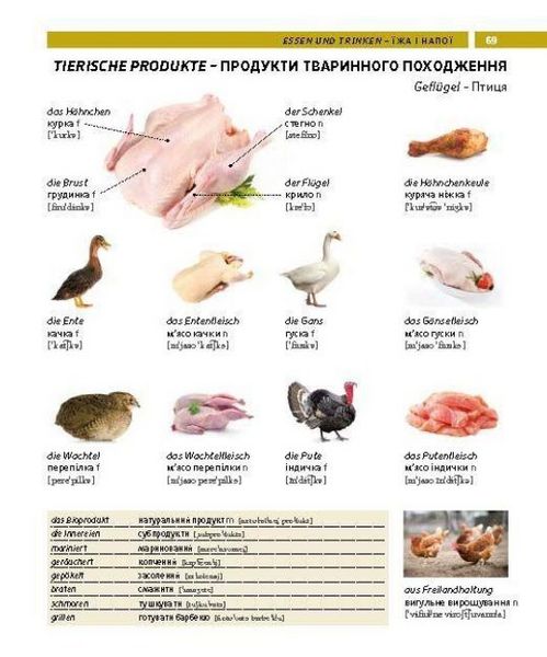 Produktbild: PONS Bildw&ouml;rterbuch Ukrainisch