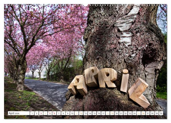 Produktbild: Holz, ein fantastischer Rohstoff. (hochwertiger Premium Wandkalender 2026 DIN A2 quer), Kunstdruck in Hochglanz