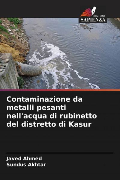 Produktbild: Contaminazione da metalli pesanti nell'acqua di rubinetto del distretto di Kasur