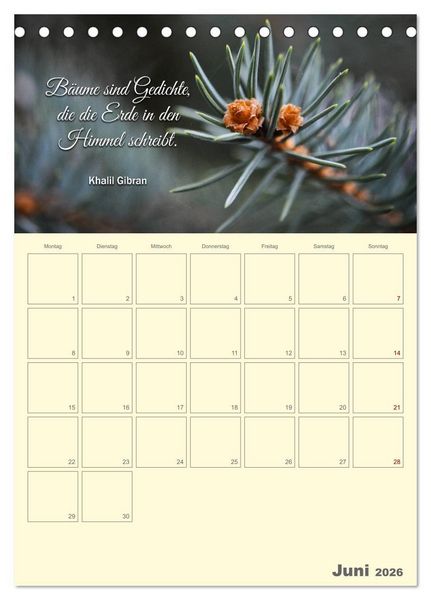 Produktbild: Gartenliebe (Tischkalender 2026 DIN A5 hoch), CALVENDO Monatskalender