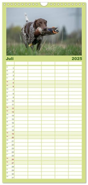 Familienplaner 2025 - Jagdhunde bei der Arbeit mit 5 Spalten (Wandkalender, 21 x 45 cm) CALVENDO