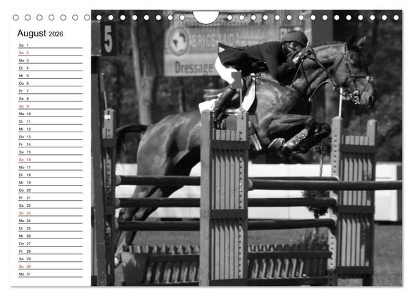 Produktbild: Leidenschaft Pferdesport - Impressionen (Wandkalender 2026 DIN A4 quer), CALVENDO Monatskalender