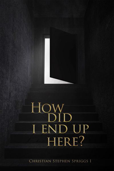 Produktbild: How Did I End up Here?