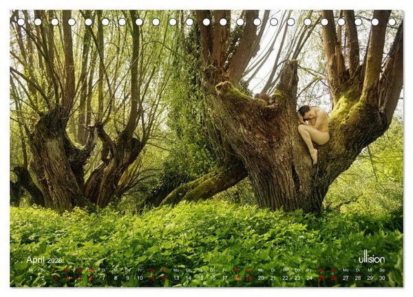 Produktbild: Poesie der Stille &ndash; Akt in der Natur (Tischkalender 2026 DIN A5 quer), CALVENDO Monatskalender