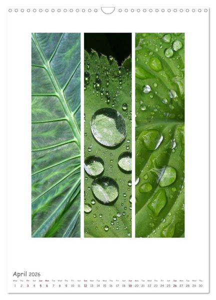 Produktbild: Colours of Nature - Triptycha (Wall Calendar 2026 DIN A3 portrait), CALVENDO 12 Month Wall Calendar