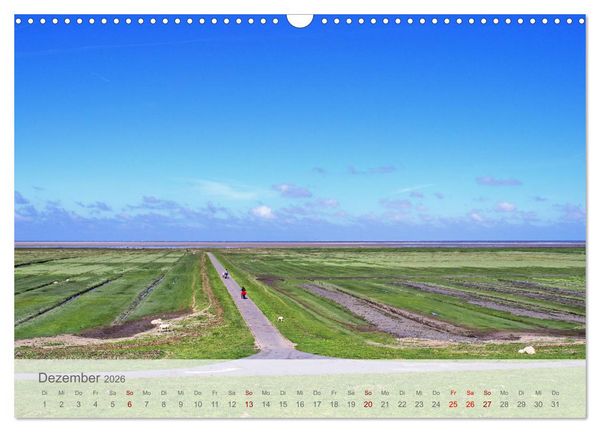 Produktbild: Salzwiesen, Schafe und Watt - Westerhever, ein Naturparadies an der Nordsee (Wandkalender 2026 DIN A3 quer), CALVENDO Monatskalender
