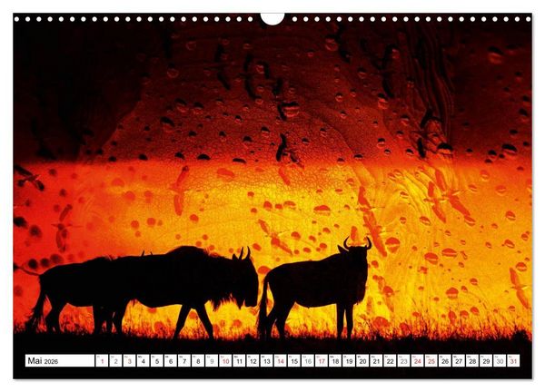 Produktbild: Emotionale Momente: African Dreams (Wandkalender 2026 DIN A3 quer), CALVENDO Monatskalender