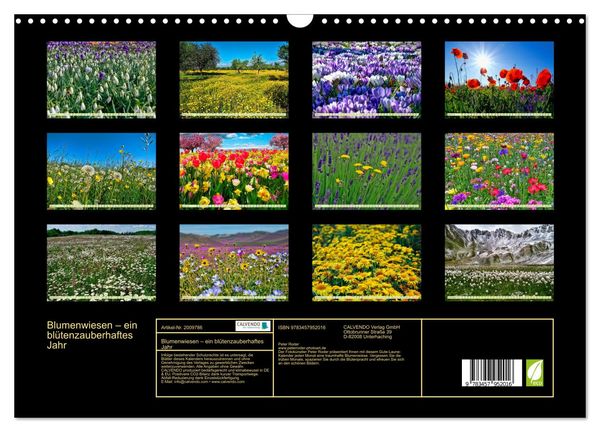 Produktbild: Blumenwiesen &ndash; ein bl&uuml;tenzauberhaftes Jahr (Wandkalender 2026 DIN A3 quer), CALVENDO Monatskalender