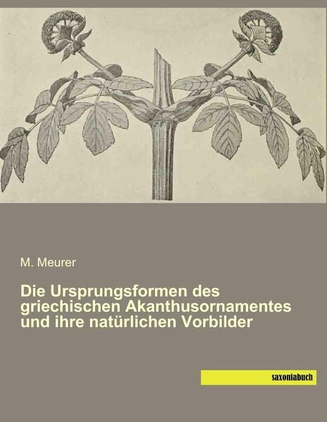 Produktbild: Die Ursprungsformen des griechischen Akanthusornamentes und ihre nat&uuml;rlichen Vorbilder