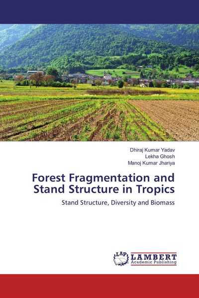 Produktbild: Forest Fragmentation and Stand Structure in Tropics
