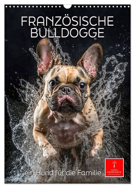 Französische Bulldogge - ein Hund für die Familie (Wandkalender 2026 DIN A3 hoch), CALVENDO Monatskalender