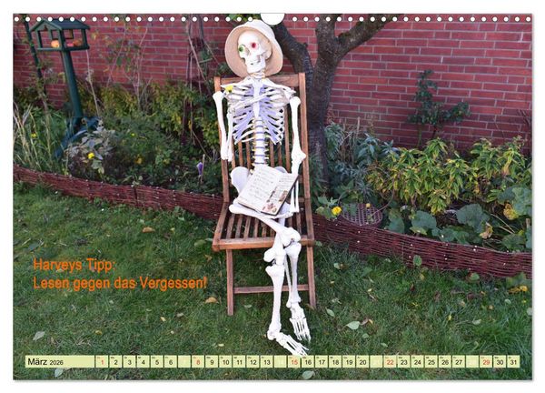 Produktbild: Harvey, der Heilpraktiker (Wandkalender 2026 DIN A3 quer), CALVENDO Monatskalender