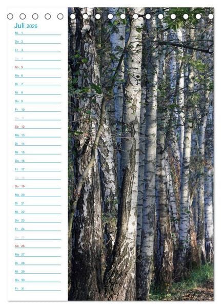 Produktbild: Wunderbarer Spreewald (Tischkalender 2026 DIN A5 hoch), CALVENDO Monatskalender