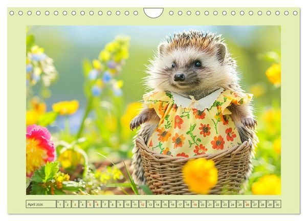 Produktbild: Zauberhafte Igel-Models. Blumiger Stil in der Natur (Wandkalender 2026 DIN A4 quer), CALVENDO Monatskalender