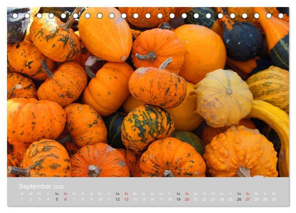 Produktbild: Indian Summer in New England (Tischkalender 2026 DIN A5 quer), CALVENDO Monatskalender
