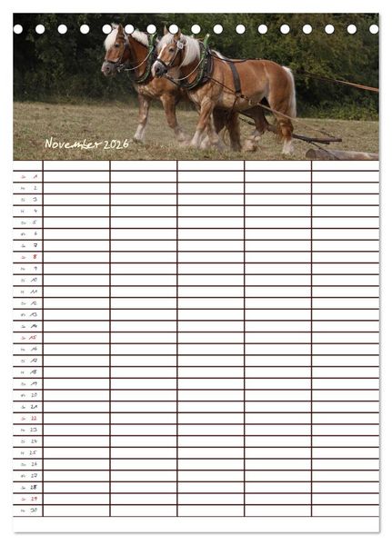 Produktbild: Der Kaltblut-Familienplaner (Tischkalender 2026 DIN A5 hoch), CALVENDO Monatskalender