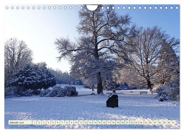 Produktbild: Weinheim erleben Schlosspark, Burgen und einladender Marktplatz (Wandkalender 2026 DIN A4 quer), CALVENDO Monatskalender
