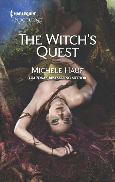 Produktbild: The Witch's Quest